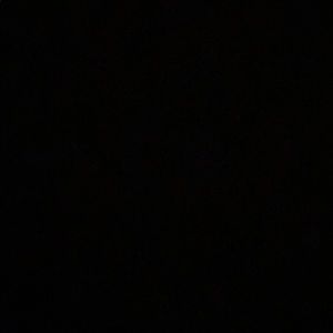 Meet your Posher, Bailey